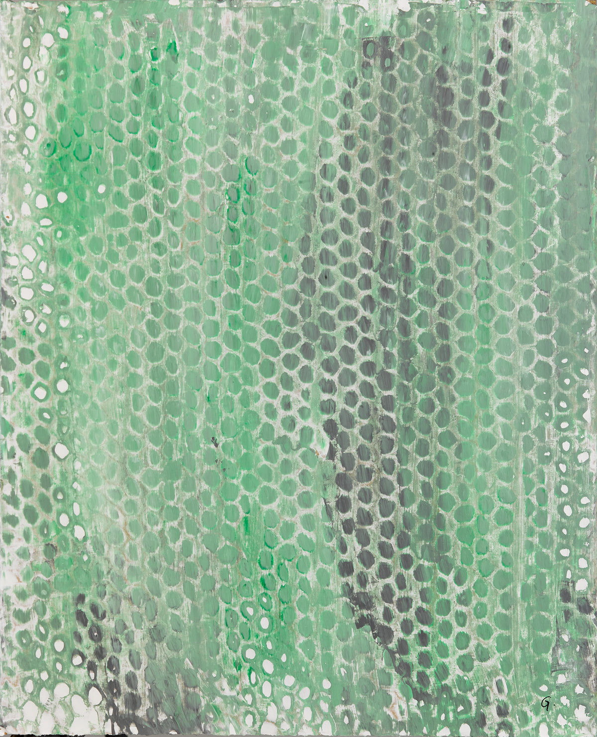 Rocks&Algae 2
